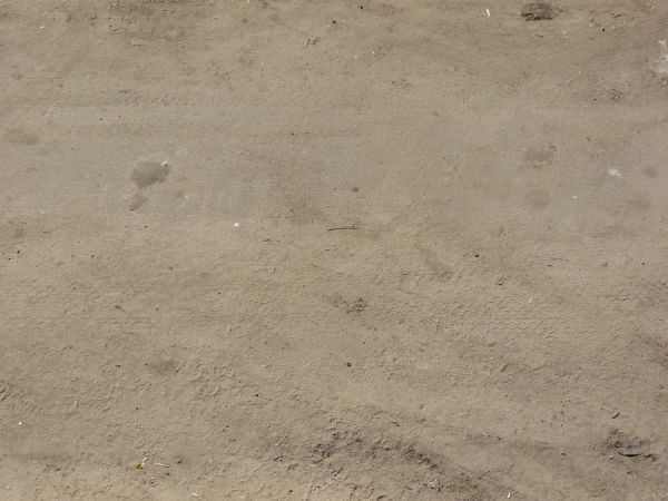 Asphalt texture made up of light brown dirt with tire tread marks, damp, discolored spots and small amounts of debris.